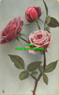R591181 Roses. Time Of Roses. Series I. Tuck. Rapholette Glosso Series No. 8162 - Wereld