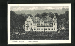 AK Hameln A. D. Weser, Gasthaus Dreyer`s Berggarten  - Hameln (Pyrmont)