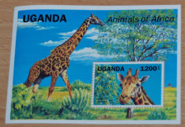 UGANDA 1991, Endangered Animals, Giraffes, Animals, Fauna, Mi #B148, Souvenir Sheet, MNH** - Giraffen