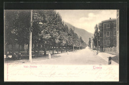 Cartolina Trento, Viale Fersina  - Trento