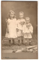 Fotografie M. Frölich, Flensburg, Norderhofenden 9, Portrait Drei Geschwister In Matrosenanzügen Und Kleid Mit Locken  - Personnes Anonymes