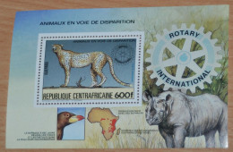 CENTRAFRICAINE 1983, Endangered Animals, Felines, Rhino, Fauna, Mi #B265, Souvenir Sheet, MNH** - Felinos