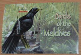 MALDIVES 2010, Birds, Animals, Fauna, Mi #B630, Souvenir Sheet, MNH** - Altri & Non Classificati