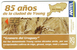 TC423a 85 Años Ciudad De Young - Uruguay