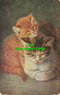 R590851 Cat With Kitten. S. Hildesheimer. Pretty Pussies Series No. 5217. Fac Si - Mundo