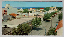 Carte Postale - San Clemente Del Tuyú, Côte Atlantique Argentine. - Photographs