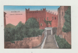 CARTOLINA MONSELICE - CASTELLO MEDIEVALE - VIAGGIATA NEL 1918 ANNULLO 1 SQUADRIGLIA AEROPLANI CON CENSURA WW1 - Padova (Padua)