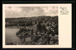 AK Binenwalde, Panorama Vom Kalksee  - Otros & Sin Clasificación