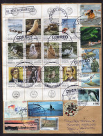 Argentina - 2024 - Antartic Fauna - Modern Stamps - Diverse Stamps - Lettres & Documents