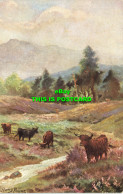 R591439 Harry Payne. Cattle In Highlands. Tuck. Oilette. 9007. Among The Gorse A - Mondo