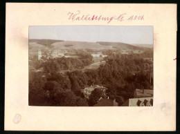 Fotografie Brück & Sohn Meissen, Ansicht Waldenburg, Park Grünfeld Vom Schlossturm Gesehen  - Orte