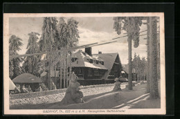 AK Oberhof, Herzogliches Golfklubhotel Im Schnee  - Oberhof