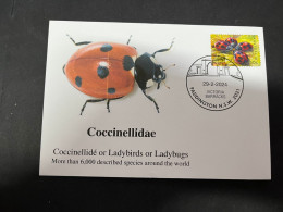 3-5-2023 (4 Z 2)  Insect - Coccininellidae (or Ladybirss / Ladybugs) With Special Stamp - Coleotteri