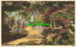 R591913 Loch Katrine. Where Twines The Path. 9510. Photochrom - Wereld