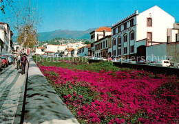 73626831 Madeira Portugal Uma Ribeira Na Funchal  - Autres & Non Classés