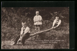 AK Wilhelm, Louis Ferdinand Und Friedrich, Prinzen Von Preussen  - Familias Reales