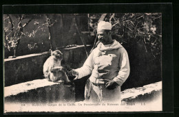 AK Blida, Gorges De La Chiffa. Un Pensionnaire Du Ruisseau Des Singes  - Monkeys