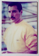 Photographie - Image De Freddie Mercury En 1986. - Famous People