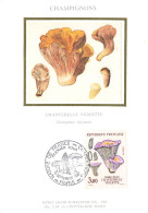 Carte Maximum-Champignons-Chanterelle-Oblitération Paris En 1987    L2885 - Francobolli (rappresentazioni)