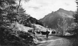 CPSM LA CLUSAZ -Route Du Col Des Aravis Et L'Etale-Beau Timbre    L2887 - La Clusaz