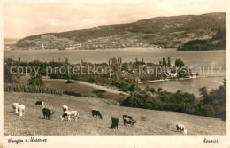 73624868 Wangen Bodensee Panorama Am Untersee Wangen Bodensee - Markdorf