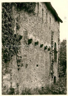 73624531 Steinbach Michelstadt Einhardsbasilika Ruine Suedwand Mit Den Zugemauer - Michelstadt