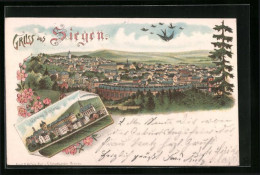 Lithographie Siegen, Unteres Schloss, Panorama  - Siegen