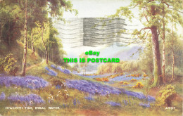 R593400 Rydal Water. Hyacinth Time. Valentine. Art Colour. E. H. Thompson. 1948 - Welt