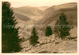 73623590 Todtnau Panorama Todtnau - Todtnau