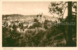 73623176 Sigmaringen Panorama Sigmaringen - Sigmaringen