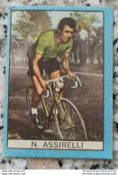 Bh Figurina Cartonata Nannina Cicogna Ciclismo Cycling Anni 50 N.assirelli - Catalogus