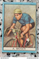 Bh Figurina Cartonata Nannina Cicogna Ciclismo Cycling Anni 50 A.moser - Catalogus