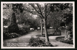 AK Pretzsch / Elbe, Gartenanlage Vom Hotel Zur Post  - Other & Unclassified