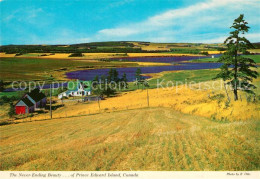 73576976 Prince Edward Island Panorama Landscape Clinton Height  - Ohne Zuordnung