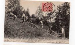 38 -  ALLEVARD Les BAINS - Descente En Traîneau De Brâme-Farine  - Animée - 1904 (L18) - Allevard