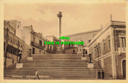 R593161 Brindisi. Colonne Romane. Libr. Cart. D. Libardo - Mundo