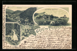 Lithographie Triberg, Bauernhaus Schwarzwald Mit Weidenden Kügen, Wasserfall, Teilansicht  - Triberg