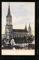 AK Ulm A. D., Blick Auf Die Münsterkirche  - Other & Unclassified