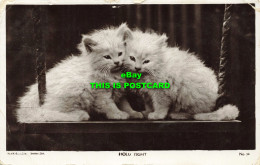 R592386 W. And K. London. Series 268. Hold Tight. Cats. Kittens. No. 34. 1921 - Autres & Non Classés