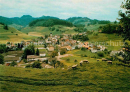 12905825 Mosnang Panorama Schafherde Mosnang - Sonstige & Ohne Zuordnung