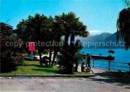 12856075 Locarno Lago Maggiore Giardini Lungolago Uferpromenade Alpen Locarno - Other & Unclassified