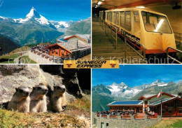 12824275 Zermatt VS Sunnegga Express Bergbahn Berggaststaette Murmeltier Matterh - Sonstige & Ohne Zuordnung