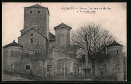 CPA Crémieu, Vieux Château De Mallin A Villemoirieu  - Crémieu