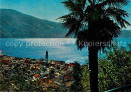 12708505 Ascona TI Panorama Lago Maggiore Palme Ascona - Andere & Zonder Classificatie