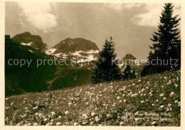 12672325 Grabs SG Blumenwiese Beim Kurhaus Voralp Sichli Gemsberg Und Sichelkamm - Altri & Non Classificati