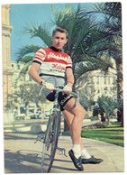 CPSM     CYCLISME        JACQUES ANQUETIL         PHOTO L EQUIPE - Radsport