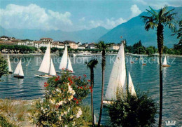 12649235 Ascona Lago Maggiore Segeln Alpen Ascona - Sonstige & Ohne Zuordnung