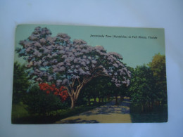 UNITED STATES POSTCARDS  FLORIDA JACARANDA TREE MORE  PURHASES 10% DISCOUNT - Other & Unclassified