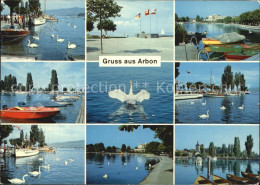 12588415 Arbon  TG Seepartien Hafen Promenade Schwaene  - Autres & Non Classés