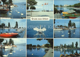 12588415 Arbon  TG Seepartien Hafen Promenade Schwaene  - Other & Unclassified